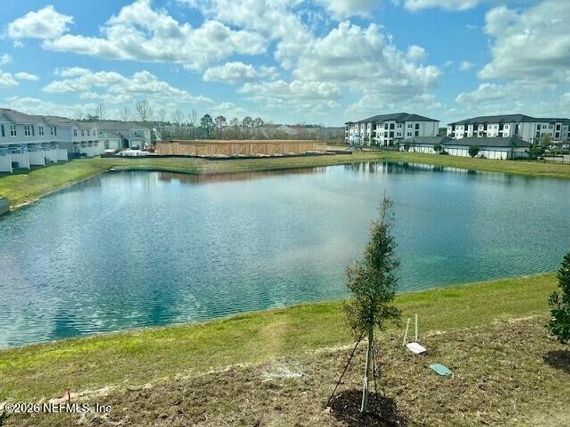 Natural landscape and outdoor views near Corsair in Middleburg (Image 14). Natural landscape and outdoor views near Corsair in Middleburg (Image 14).