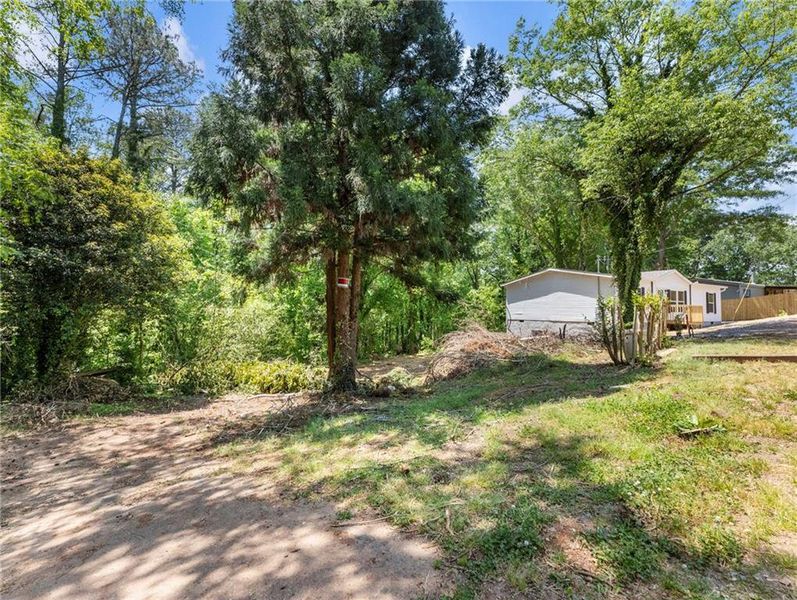 Natural landscape and outdoor views near  in Gainesville (Image 32).