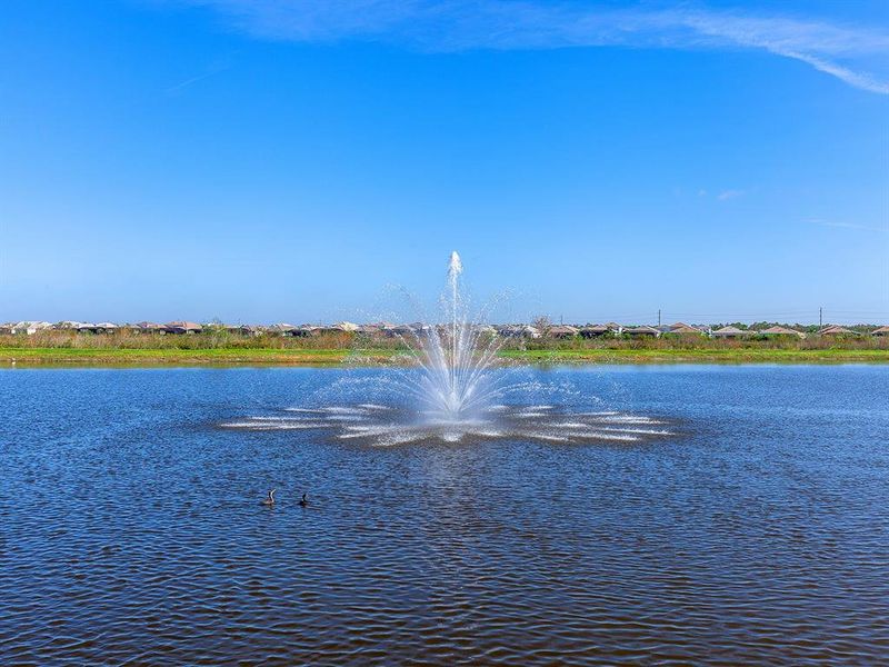 Natural landscape and outdoor views near in Bradenton (Image 71). Natural landscape and outdoor views near in Bradenton (Image 71).