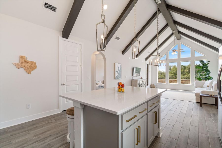 A pantry and plenty of cabinet/countertop space for all of your kitchen needs.
