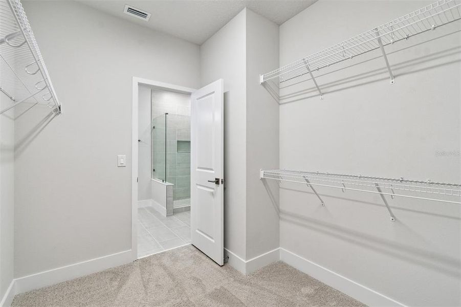 Spacious, unfurnished interior of a new home in Apex at Seminole Heights, Tampa (Image 13).