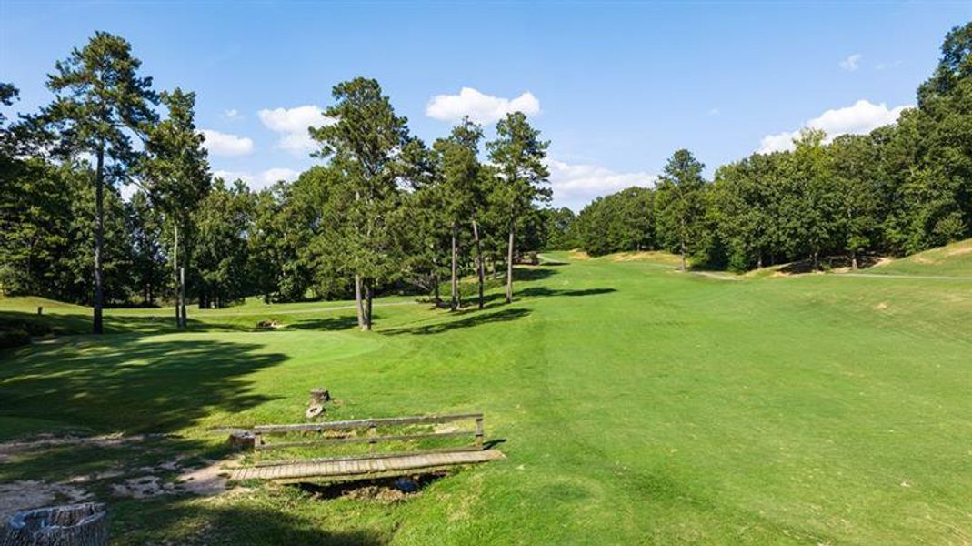 Natural landscape and outdoor views near Parkside at Carter Grove in Cartersville (Image 58).