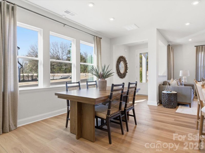 York Plan Model Photos York Plan Model Photos