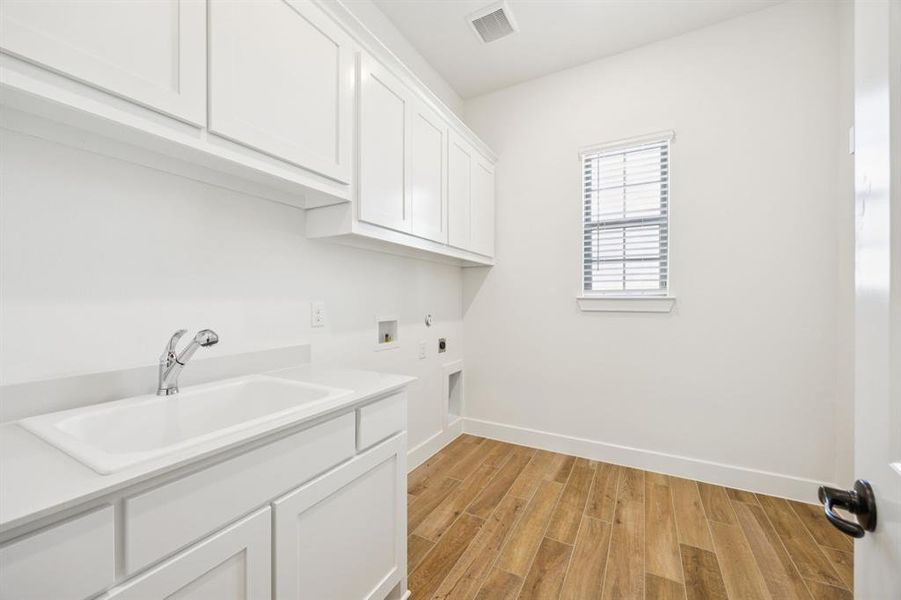 12-112Swan_016 12-112Swan_016