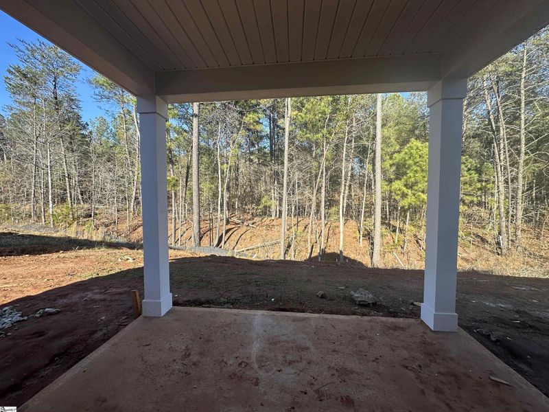 Exterior details and patio area of a home in Shiloh Trail, Wellford (Image 7).