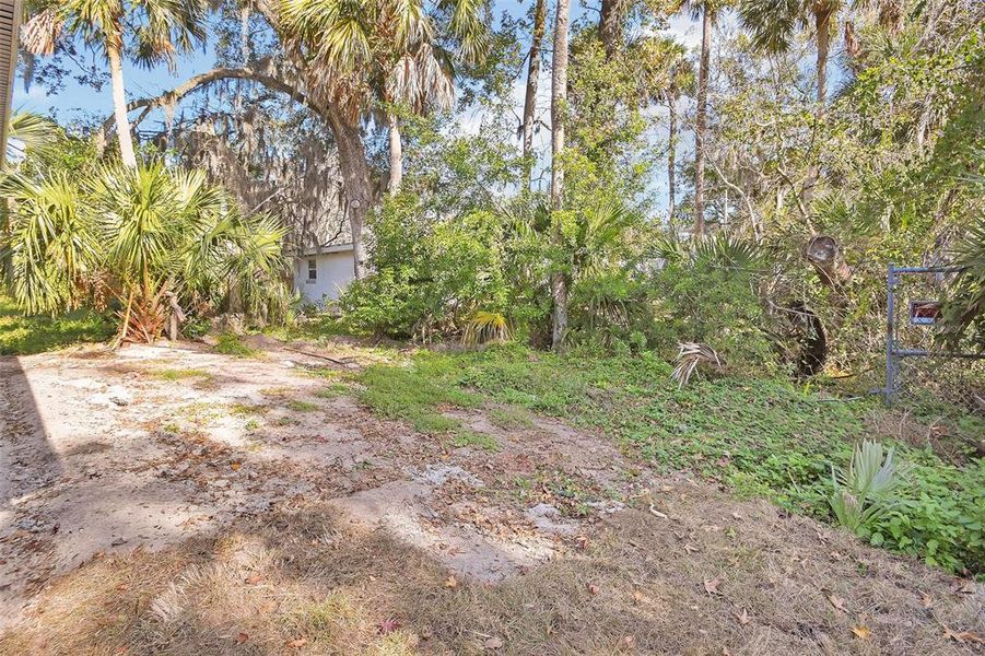 Natural landscape and outdoor views near  in Daytona Beach (Image 26).