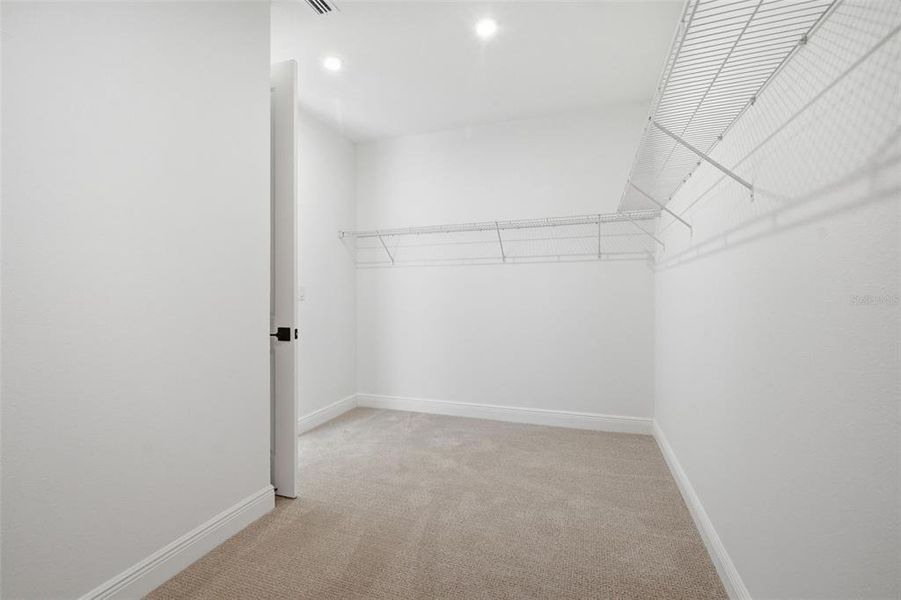 Spacious, unfurnished interior of a new home in Fieldstone, Plant City (Image 69).