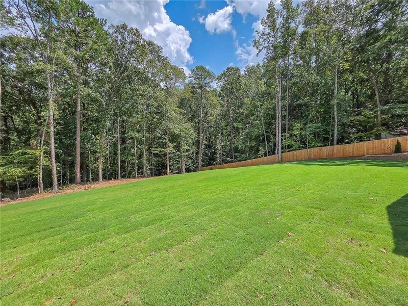 Natural landscape and outdoor views near  in Winder (Image 65).