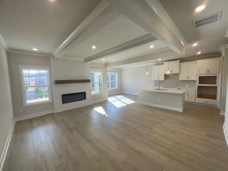 Spacious, unfurnished interior of a new home in Ponderosa Farms Estates, Gainesville (Image 43).
