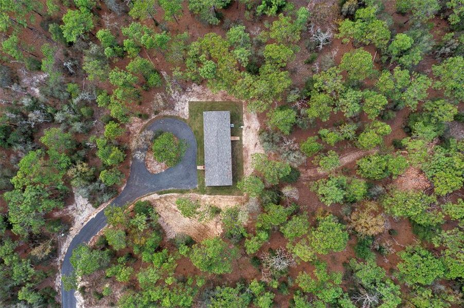 Site preparation for new homesites in , Brooksville (Image 33). Site preparation for new homesites in , Brooksville (Image 33).
