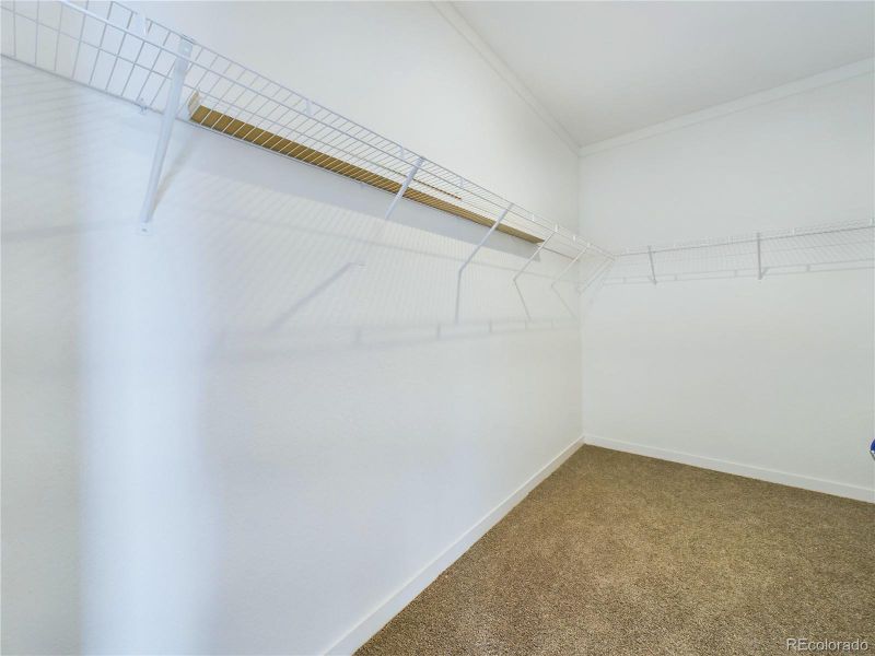 Spacious closet with carpet floors