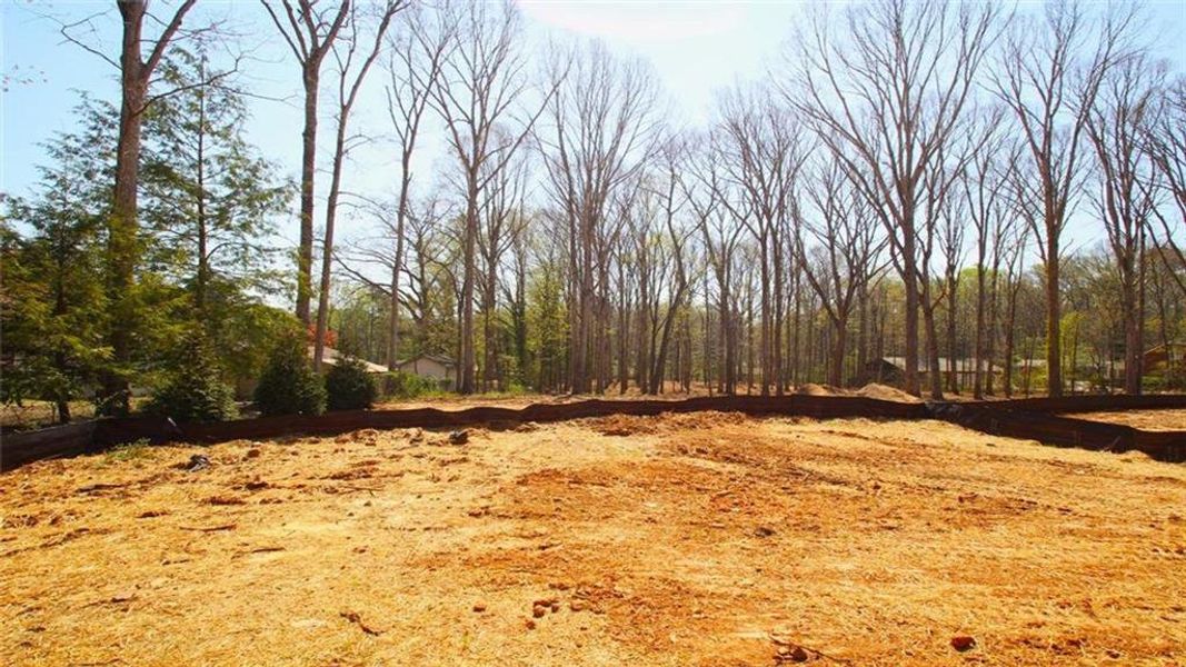 Site preparation for new homesites in , Stone Mountain (Image 49).