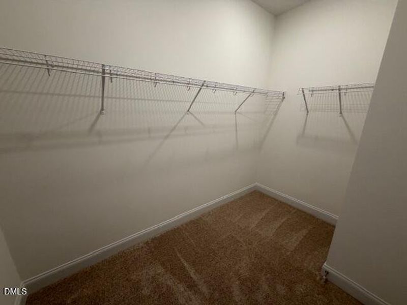 ae5d9957-d786-472c-9295-32012da051d0