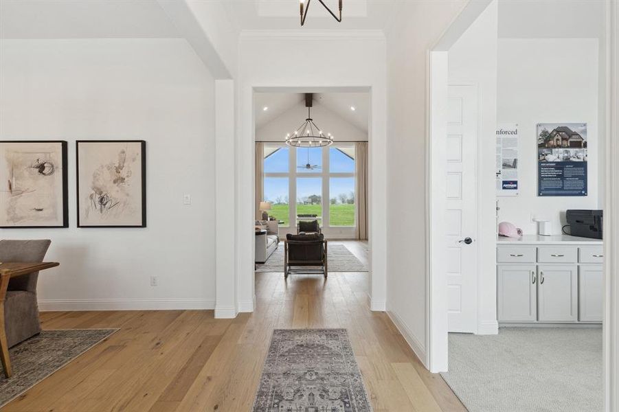 26-170Meadow_026 26-170Meadow_026