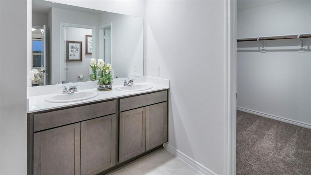 Bathroom featuring double vanity, a walk in closet, and light colored carpet Bathroom featuring double vanity, a walk in closet, and light colored carpet