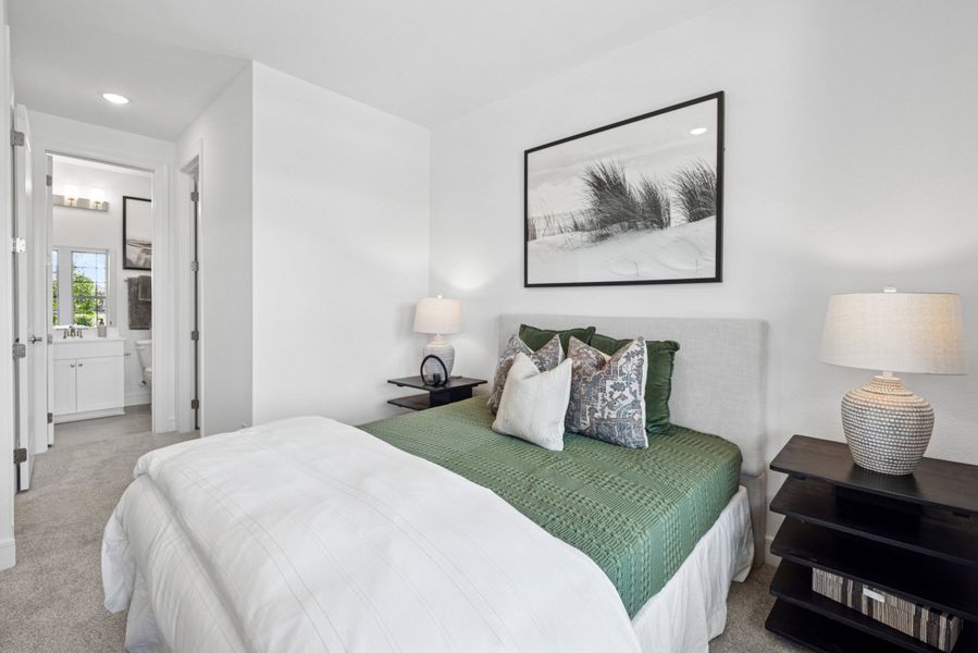 Extra Suite Extra Suite