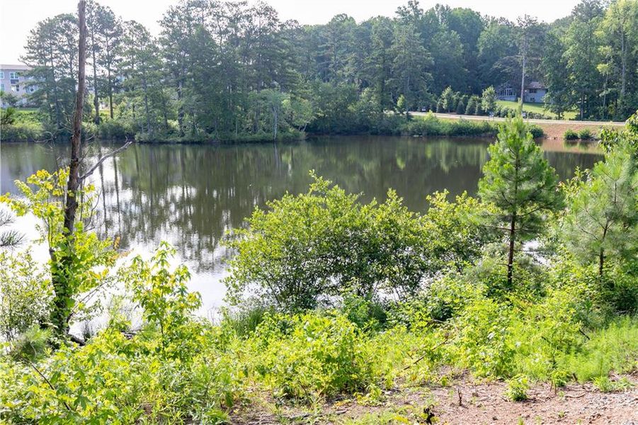 Natural landscape and outdoor views near Madison at Buice Lake in Acworth (Image 71).