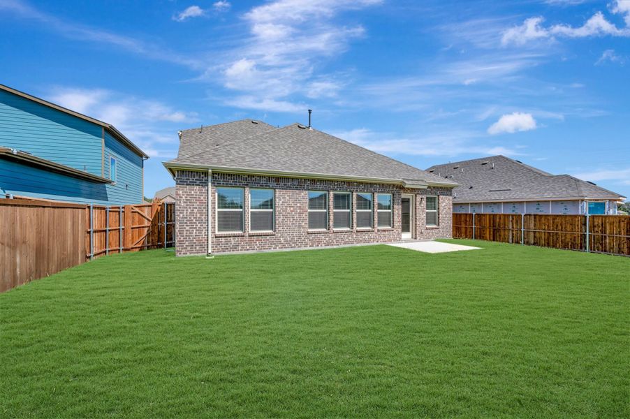 Backyard
