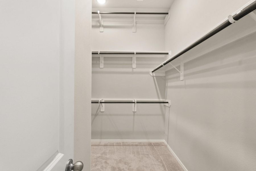 Representative Photo