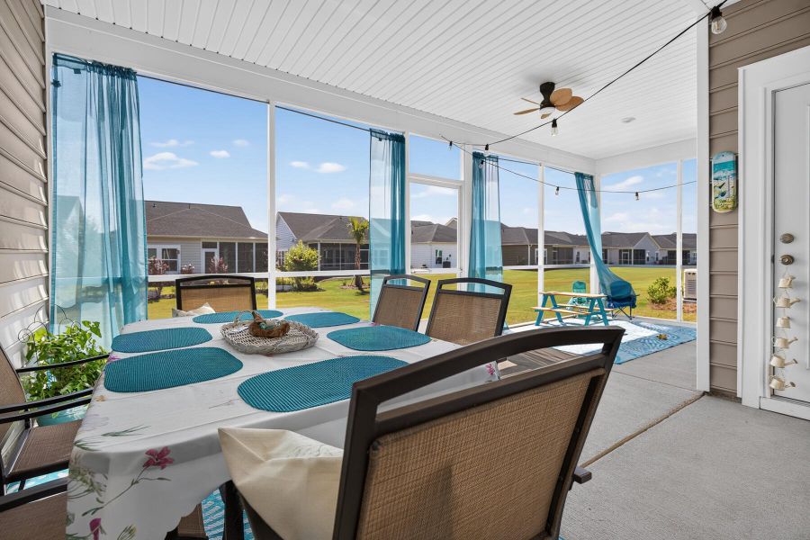 Exterior details and patio area of a home in Horizons at Summers Corner | 55+, Summerville (Image 3).