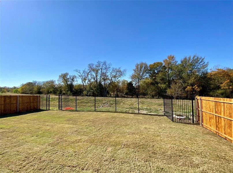 Great back yard with serene Nature Area behnd. To maximize the view it has 6 ft iron fence with gate at back & wood privacy fence on the sides