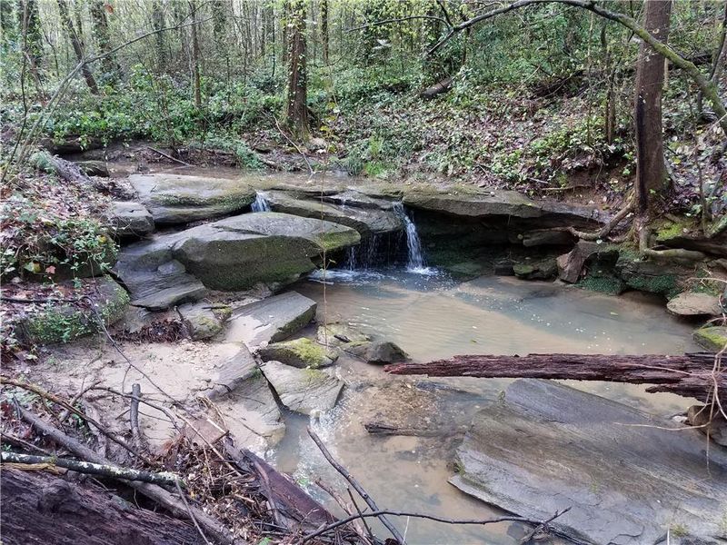 Natural landscape and outdoor views near Pendergrast Farm in Atlanta (Image 49).