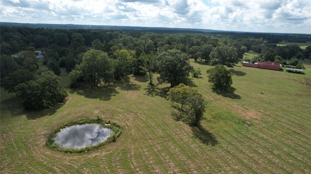 Natural landscape and outdoor views near  in New Waverly (Image 3).