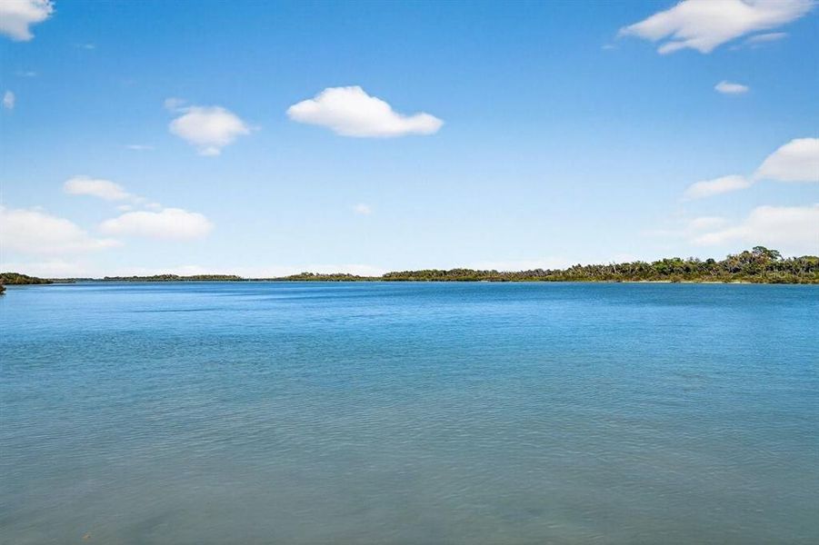Natural landscape and outdoor views near Riverfront in Edgewater (Image 40).