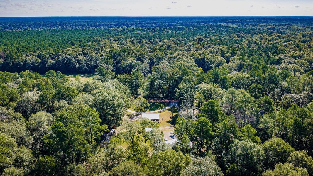 Natural landscape and outdoor views near in Shepherd (Image 32). Natural landscape and outdoor views near in Shepherd (Image 32).