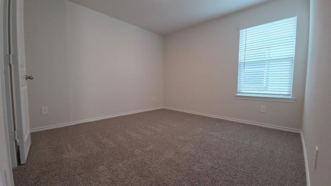 Carpeted room featuring a single window with horizontal blinds, white baseboards, and neutral wall paint