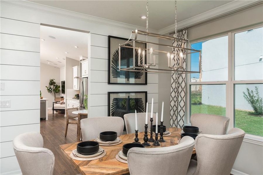 REPRESENTATIVE PHOTOS