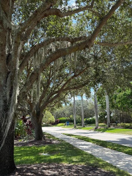Community Preserve 4