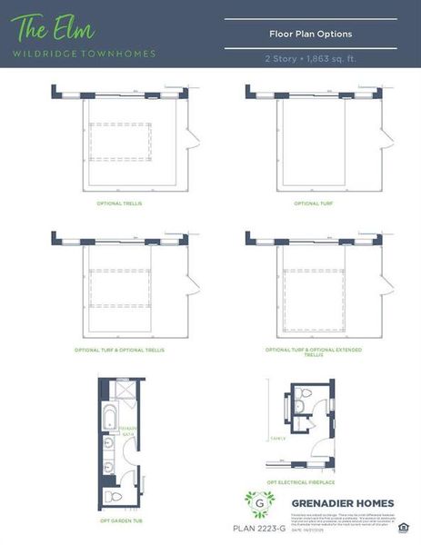 Elm_2223_6.27.25_FPOpt Elm_2223_6.27.25_FPOpt