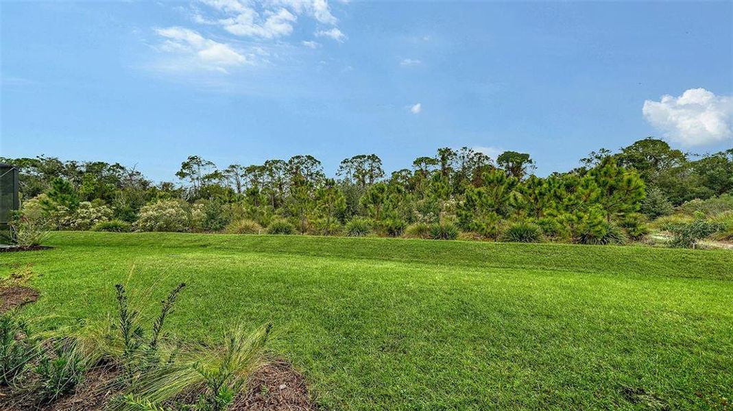 Natural landscape and outdoor views near  in Sarasota (Image 43).