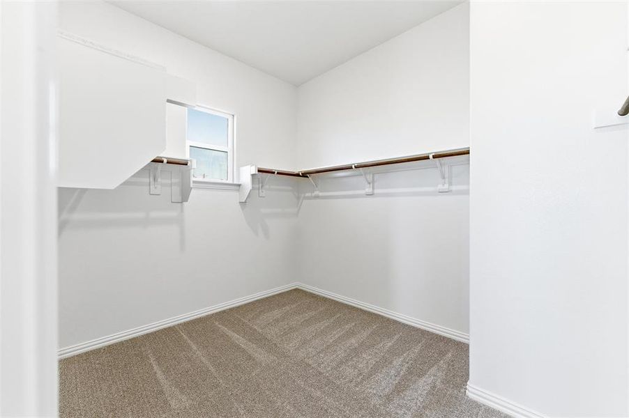 Spacious closet featuring light colored carpet