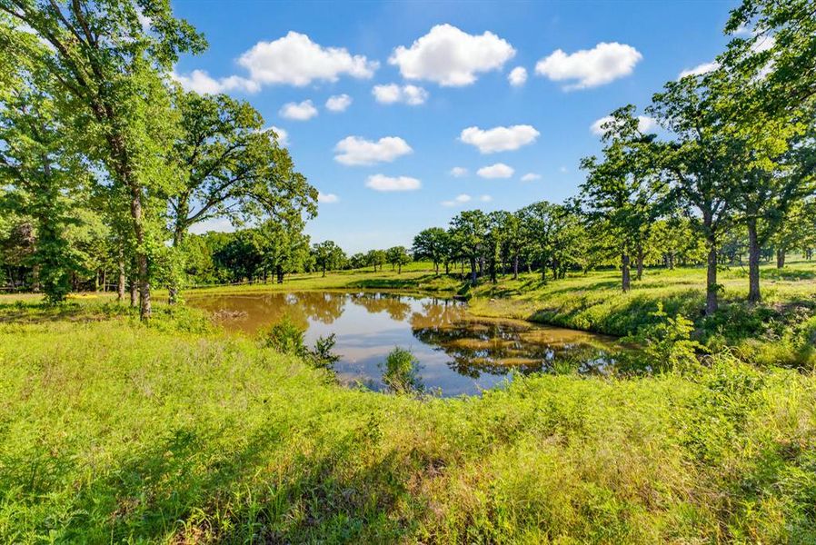 Natural landscape and outdoor views near  in Alvord (Image 18).