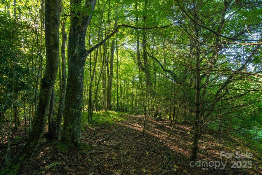 Image 14 of a home in . Image 14 of a home in .