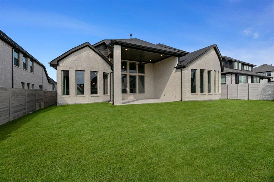 DAL_Painted Tree_Haskell II_4005 Gervais Drive (32)