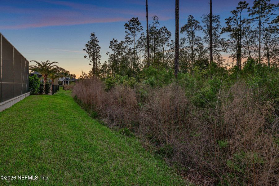Natural landscape and outdoor views near  in Ponte Vedra (Image 57).