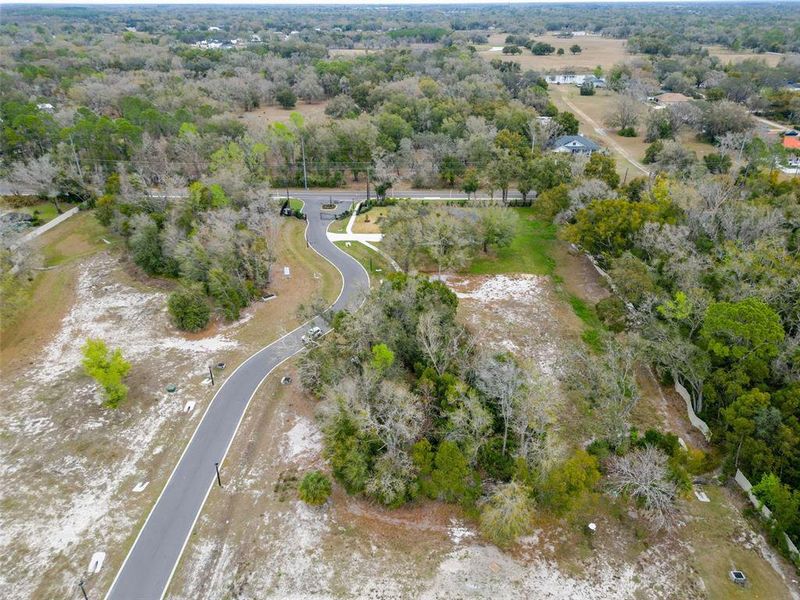 Natural landscape and outdoor views near Sunset Estates in Lutz (Image 19).