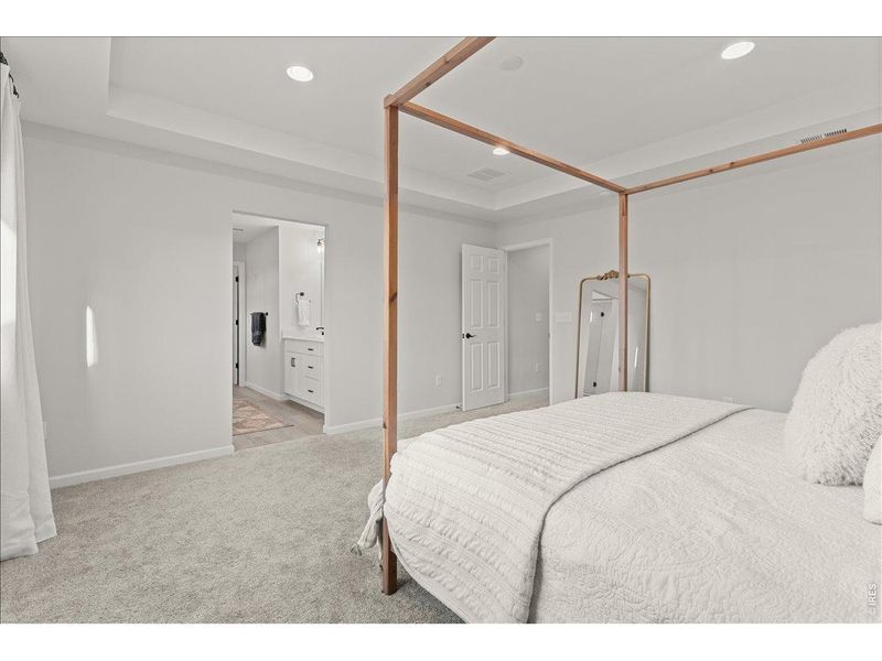 Furnished interior view inside a new home in Prairie Song, Windsor (Image 13).