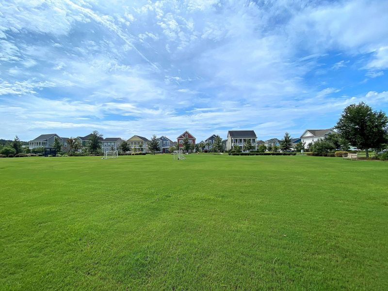 Natural landscape and outdoor views near Carnes Crossroads in Summerville (Image 50).