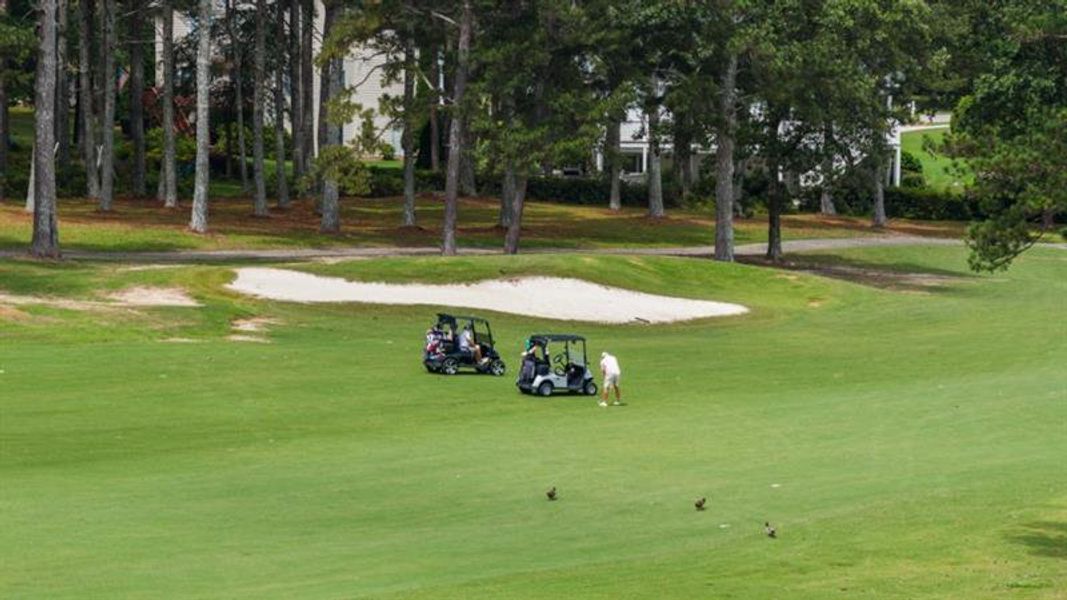 Image 50 of a home in Northwoods at Mirror Lake.