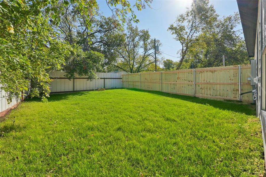 View of fenced backyard
