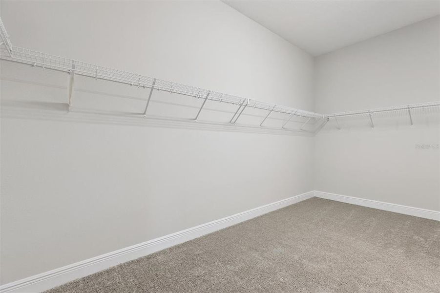 Spacious, unfurnished interior of a new home in Hawkstone, Lithia (Image 22).