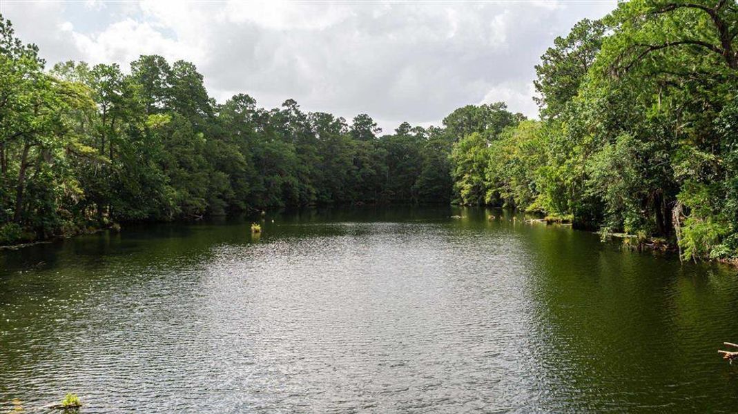 Or head to the preserve to kayak at Phillips Lake!