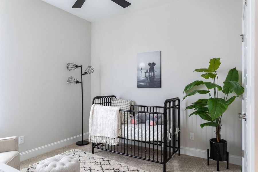 Similarly Built Oxford