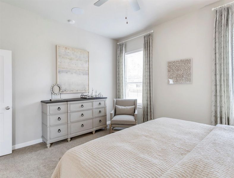 **REPRESENTATIVE PHOTO**