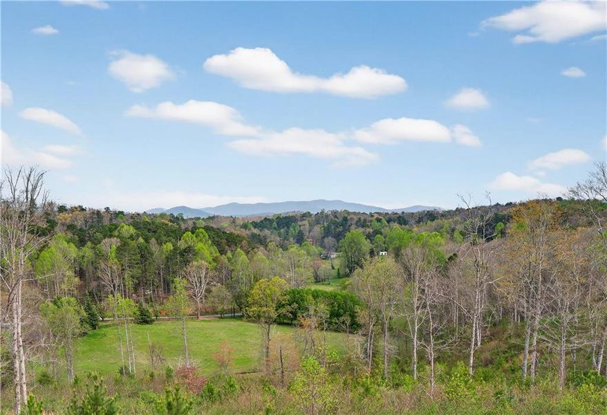 Natural landscape and outdoor views near  in Ellijay (Image 50).