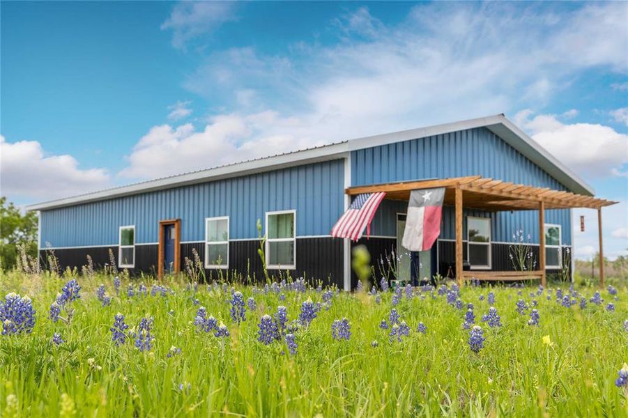 Lots of wild flowers